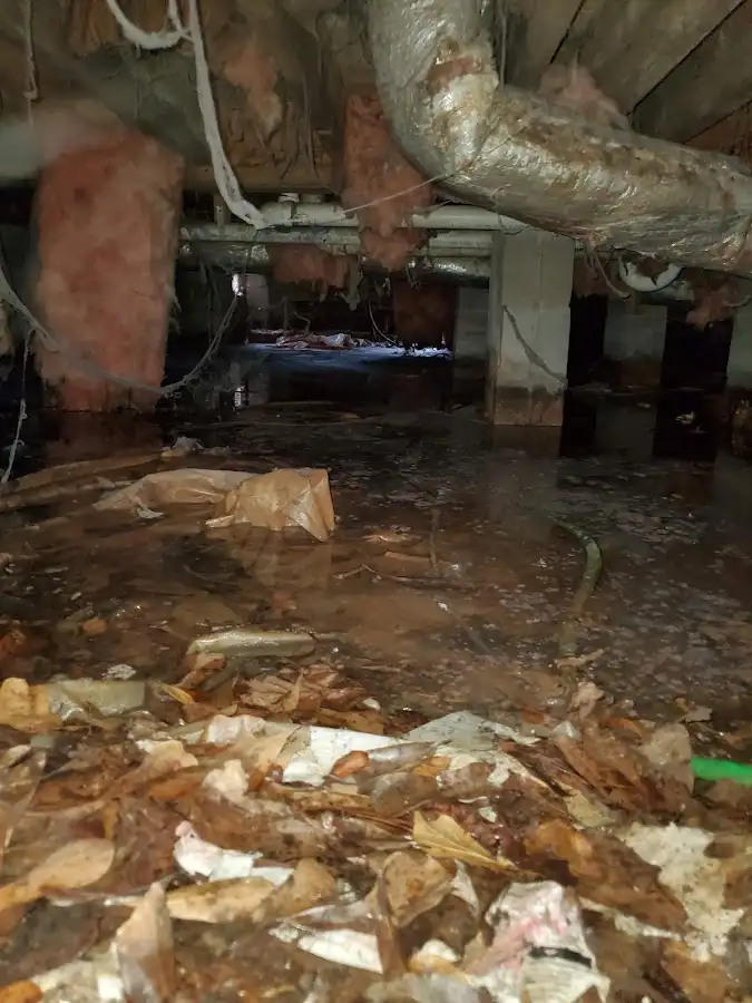 Crawl space flood assessment for Commercial Water Damage Restoration in Seabrook